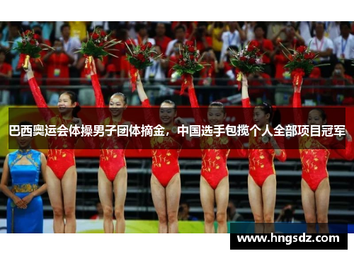 巴西奥运会体操男子团体摘金，中国选手包揽个人全部项目冠军